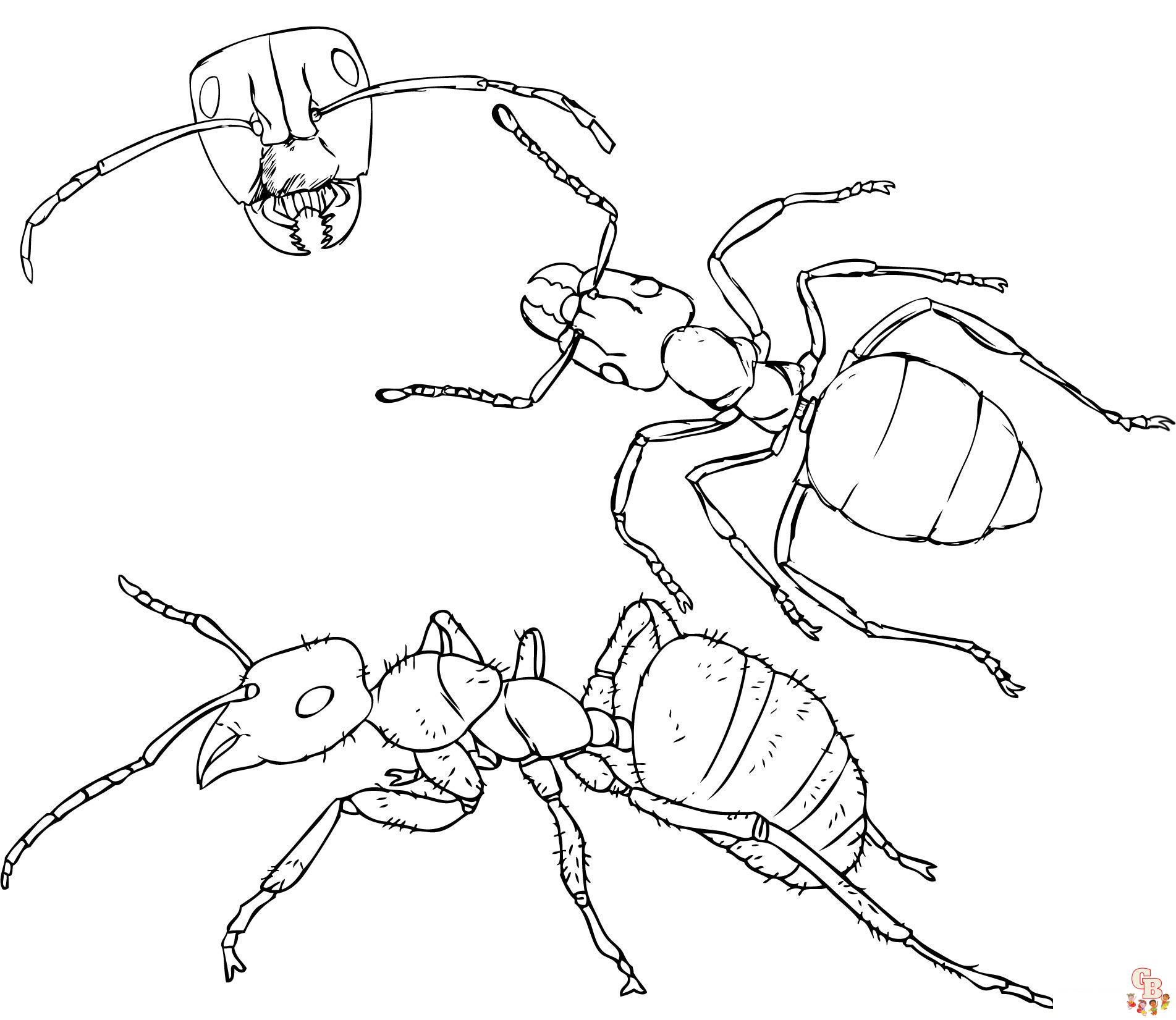 Ant Coloring Pages28