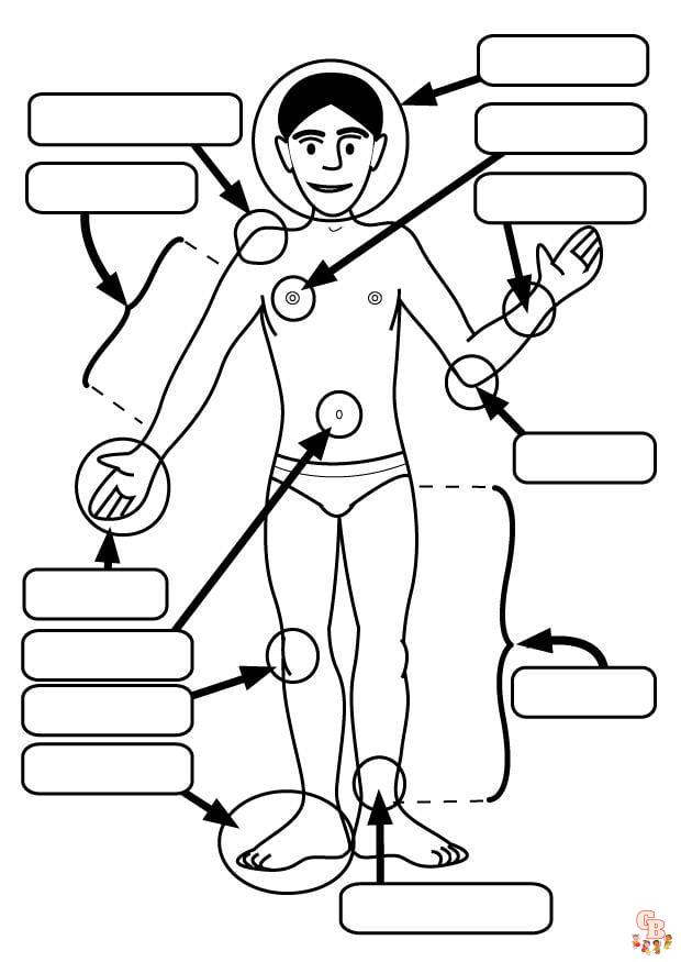 Body Parts Coloring Pages 1