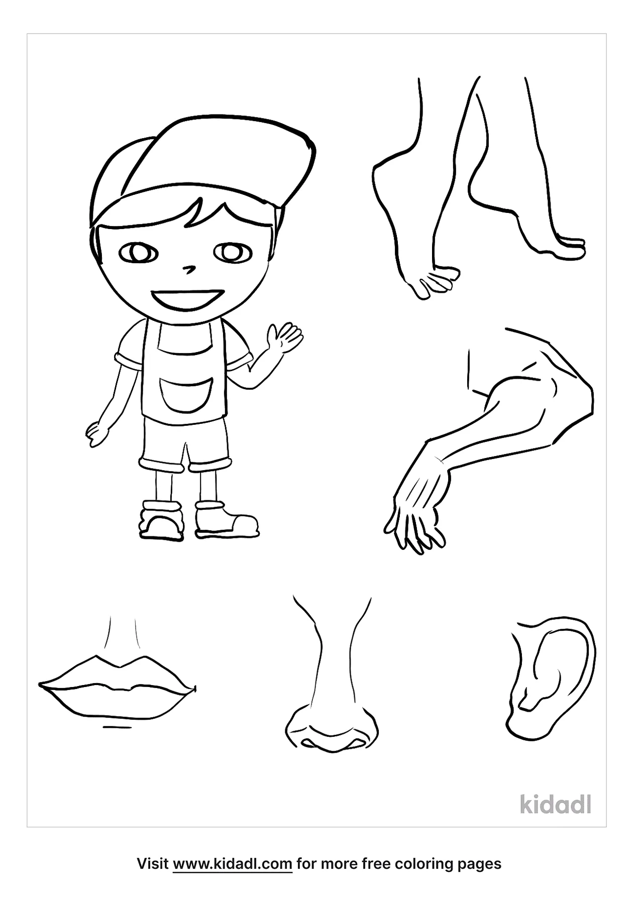 Body Parts Coloring Pages 1