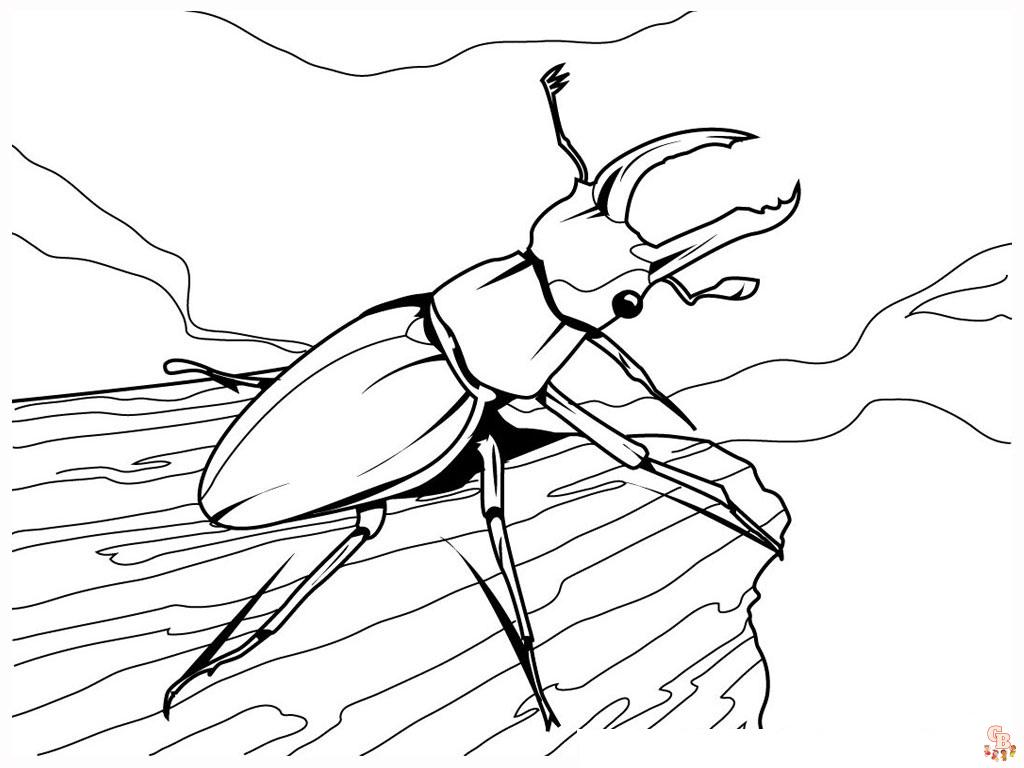 Bug Coloring Pages 1