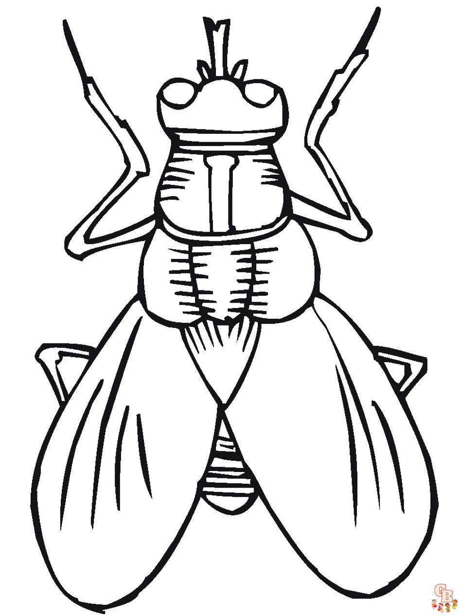 Bug Coloring Pages 2