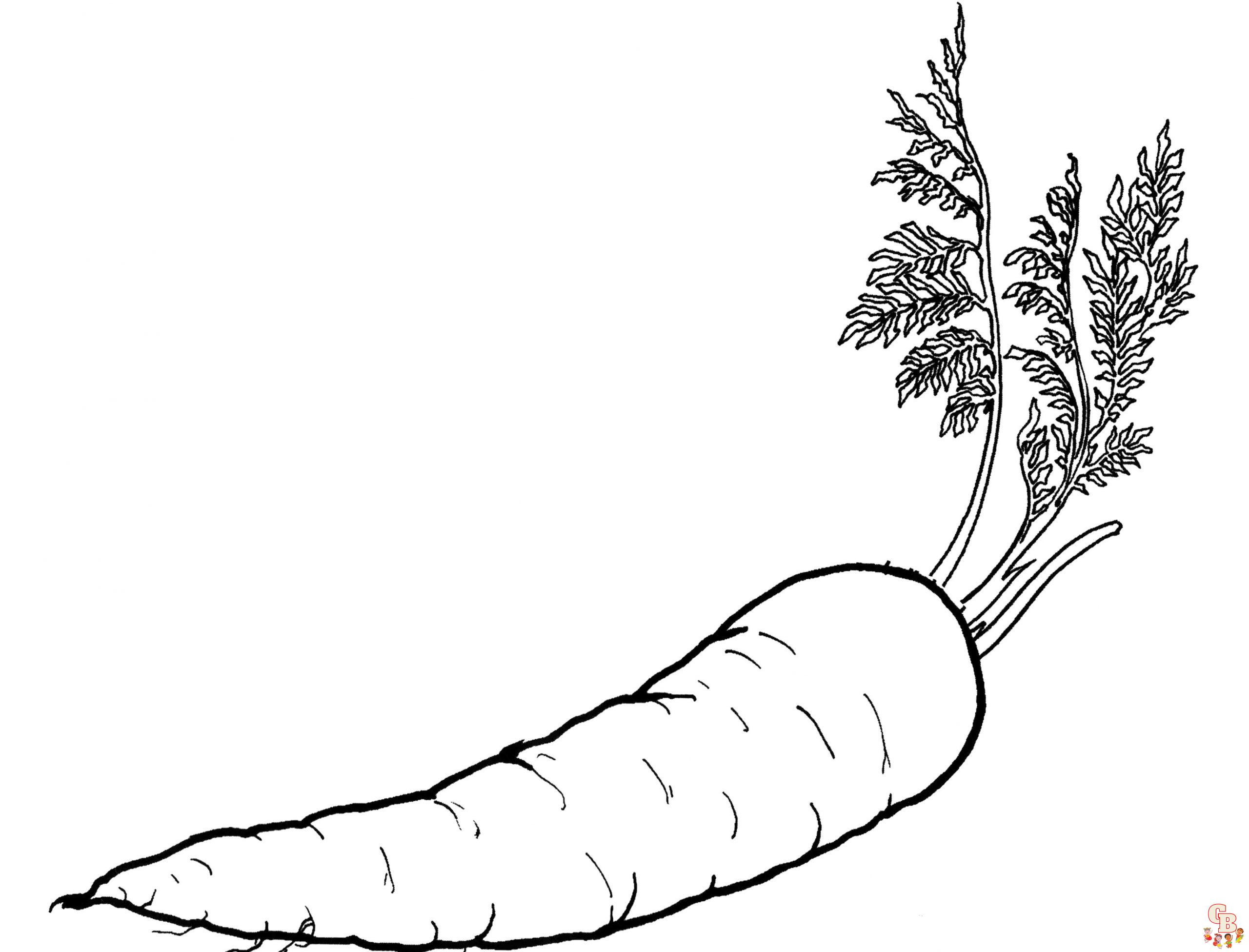 Carrot Coloring Pages 3