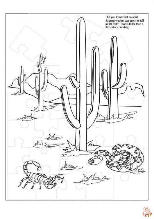 Desert Coloring Pages 4