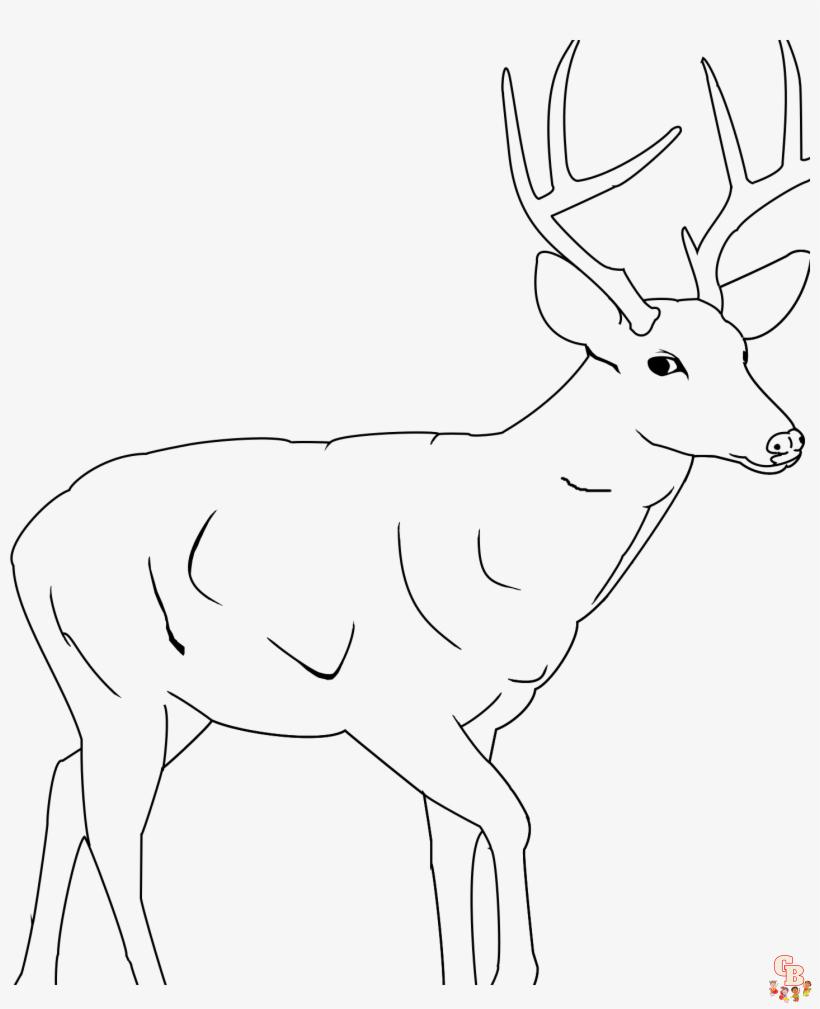 Hunting Coloring Pages 3 1