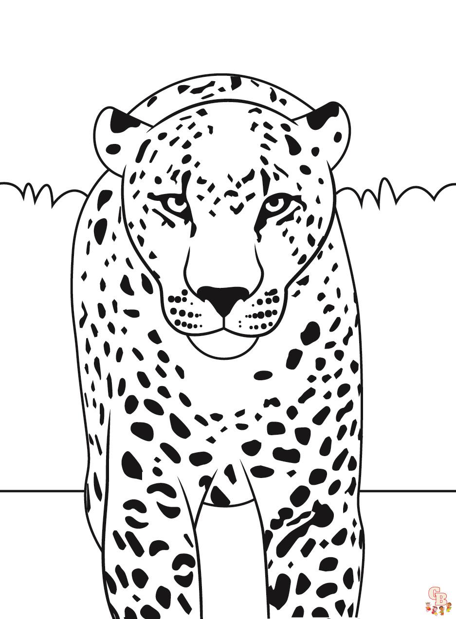 Leopard Coloring Pages 1