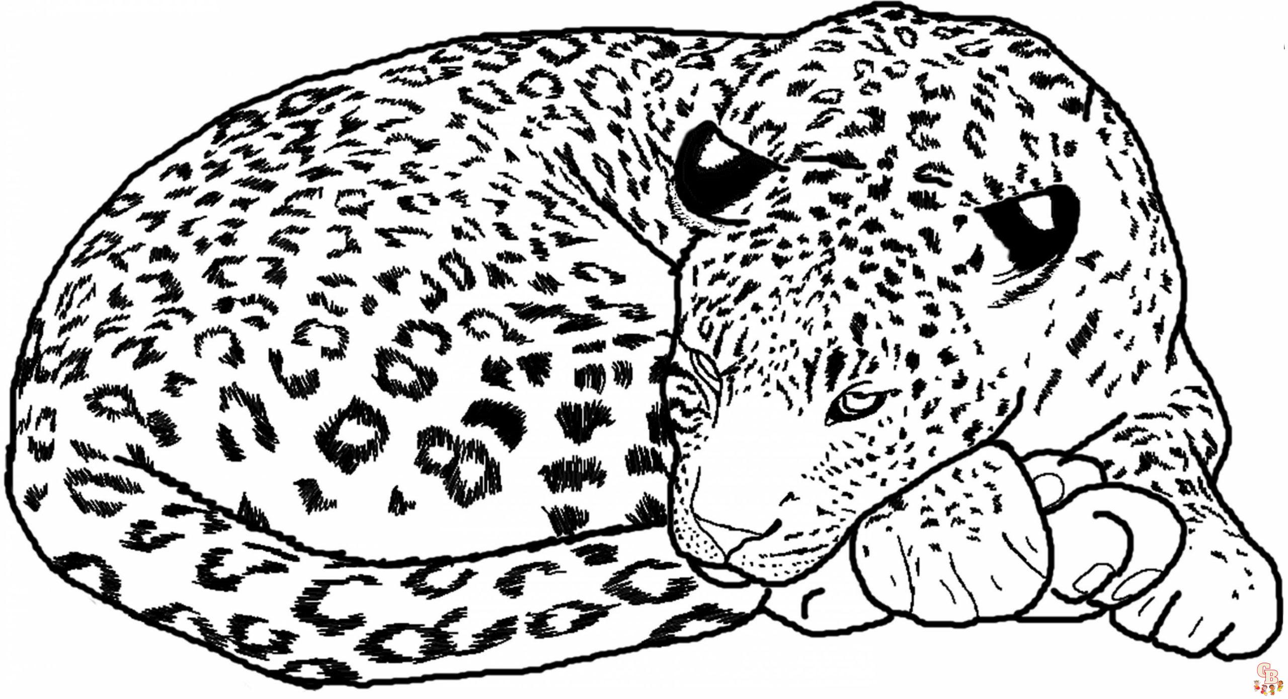 Leopard Coloring Pages 2