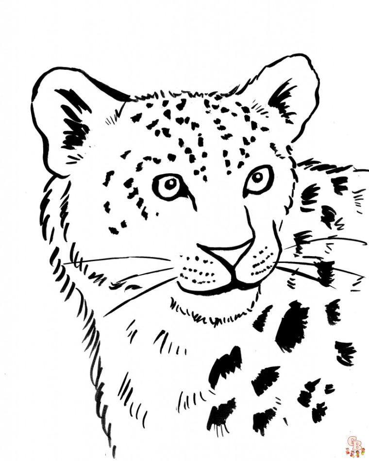 Leopard Coloring Pages 3