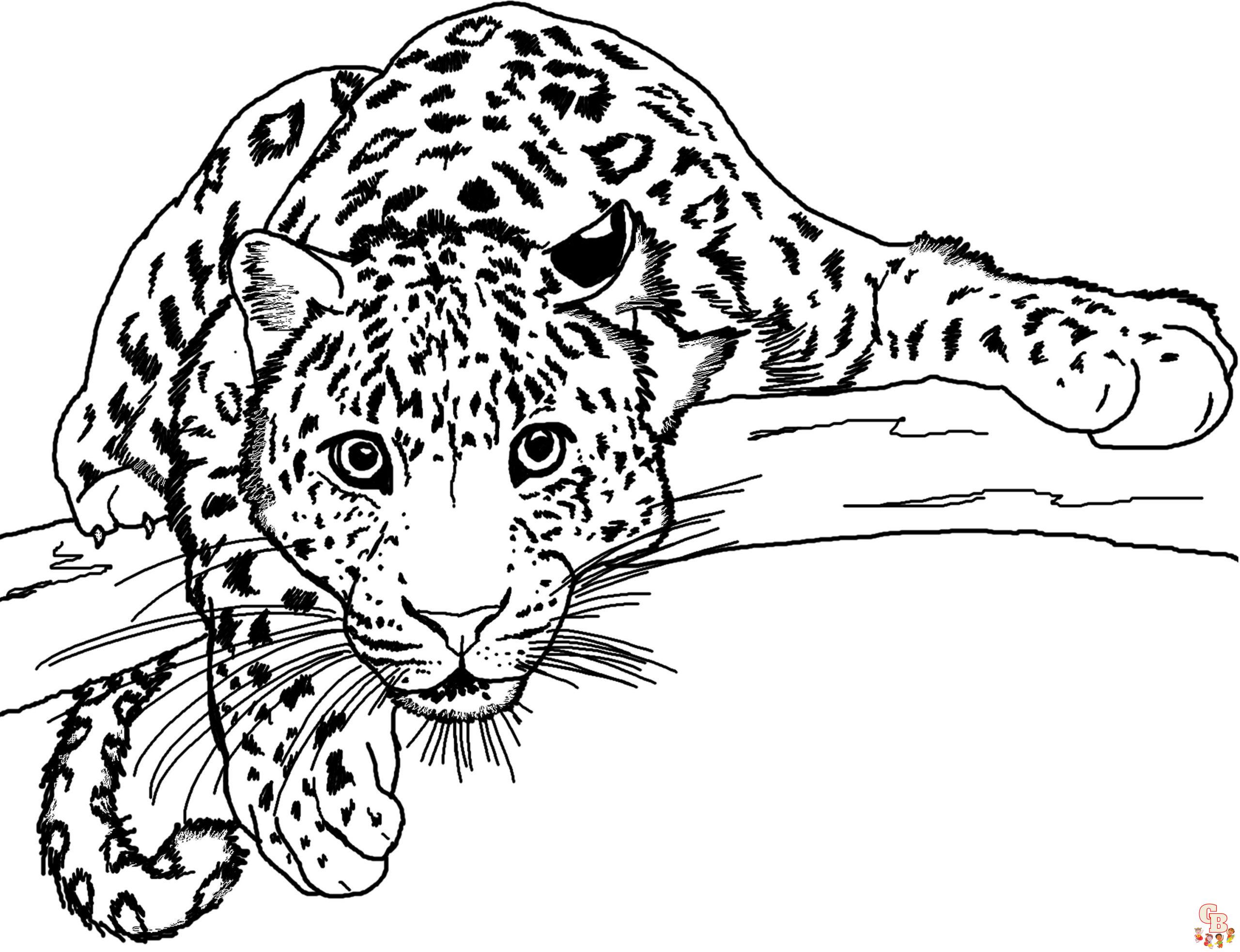 Leopard Coloring Pages 4