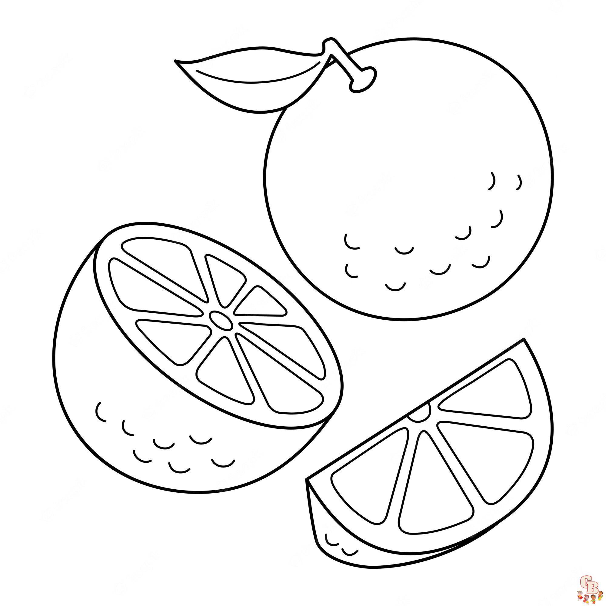 Orange Coloring Pages 1