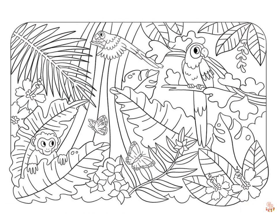 Rainforest Coloring Pages 1