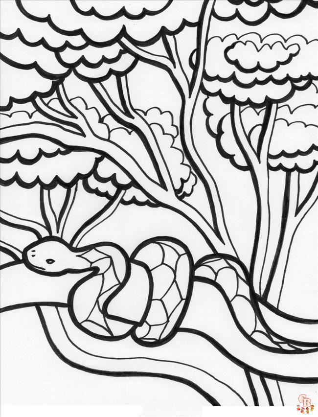 Rainforest Coloring Pages 10