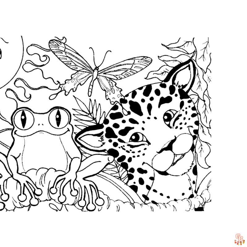 Rainforest Coloring Pages 13