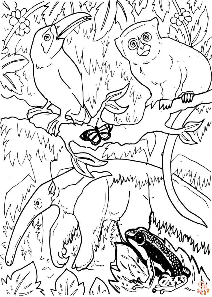 Rainforest Coloring Pages 14