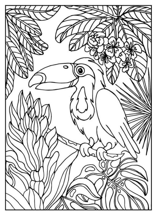 Explore the World of Rainforest Coloring Pages GBcoloring