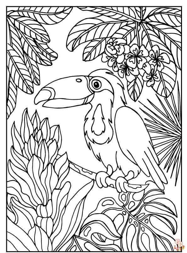 Rainforest Coloring Pages 2