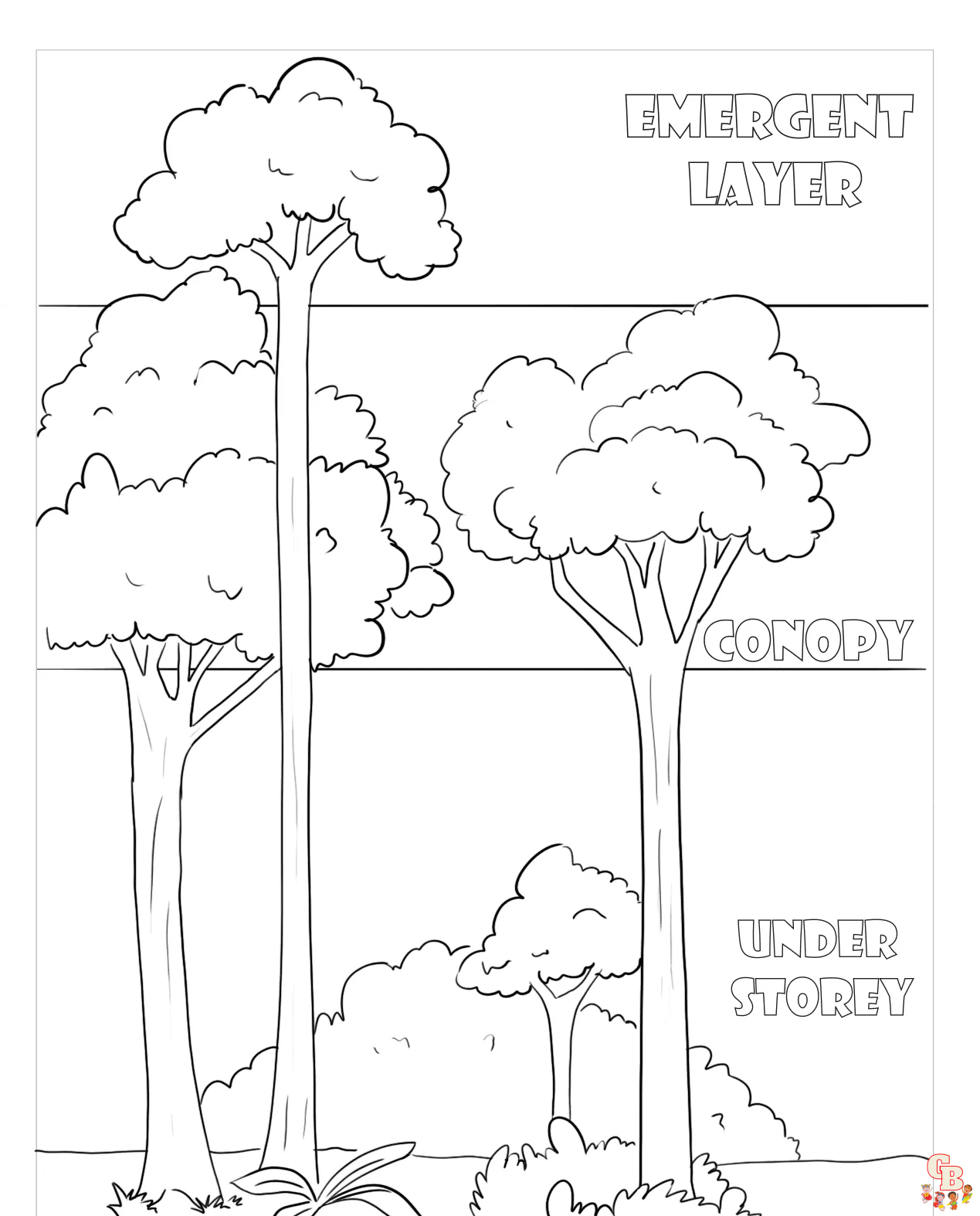 Rainforest Coloring Pages 3