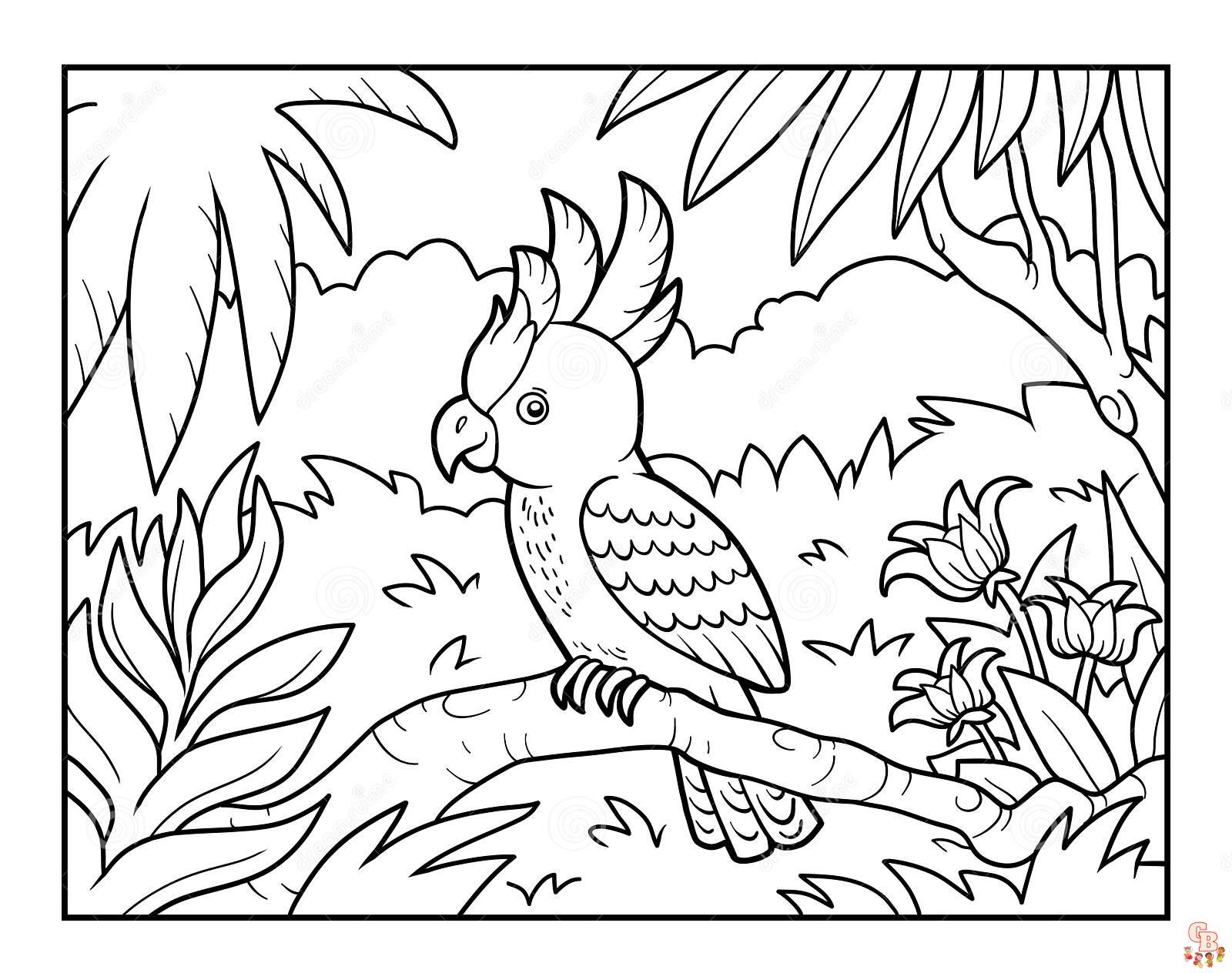 Rainforest Coloring Pages 5