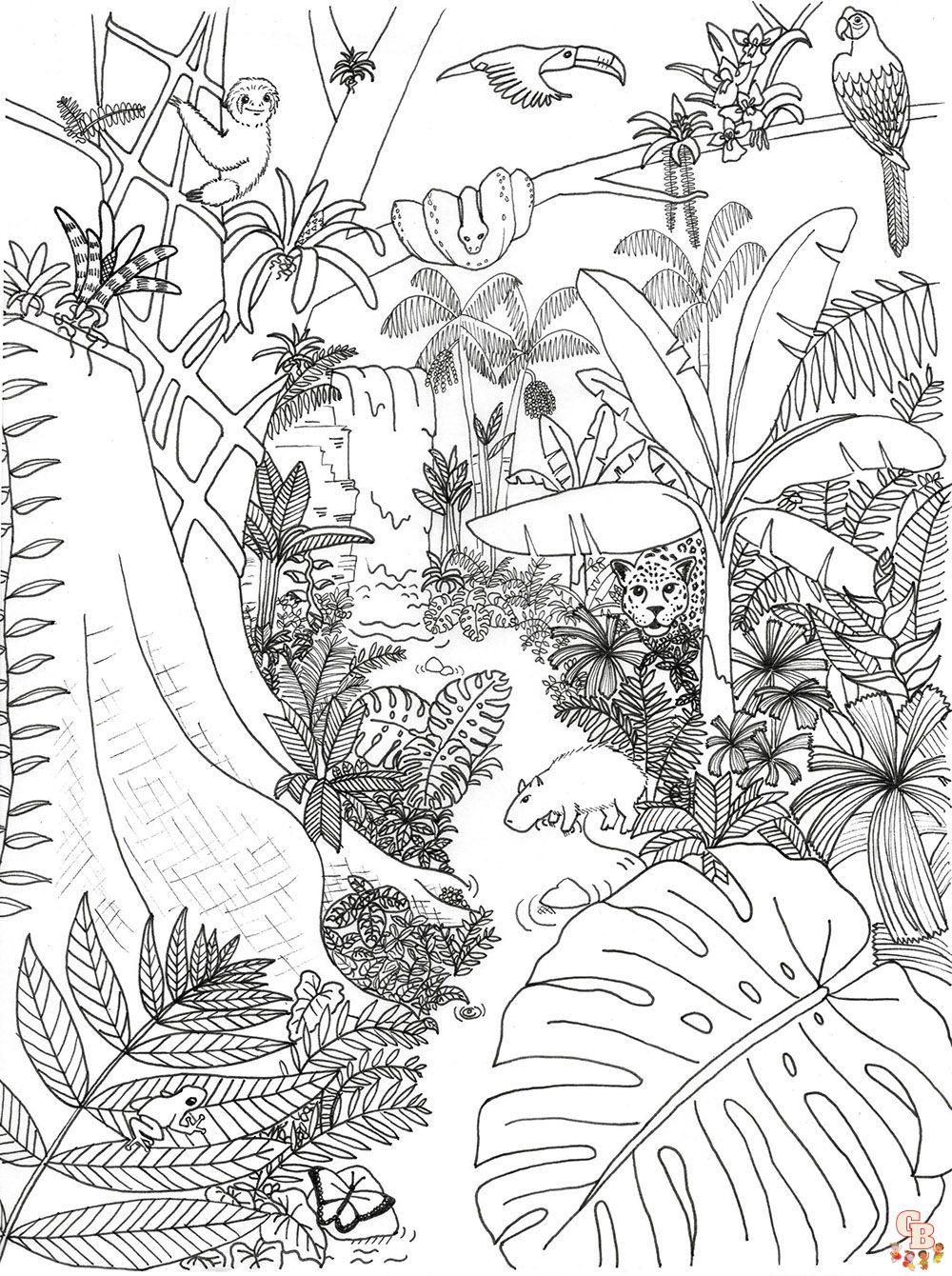 Rainforest Coloring Pages 8