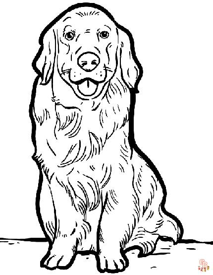 Realistic Coloring Pages 6