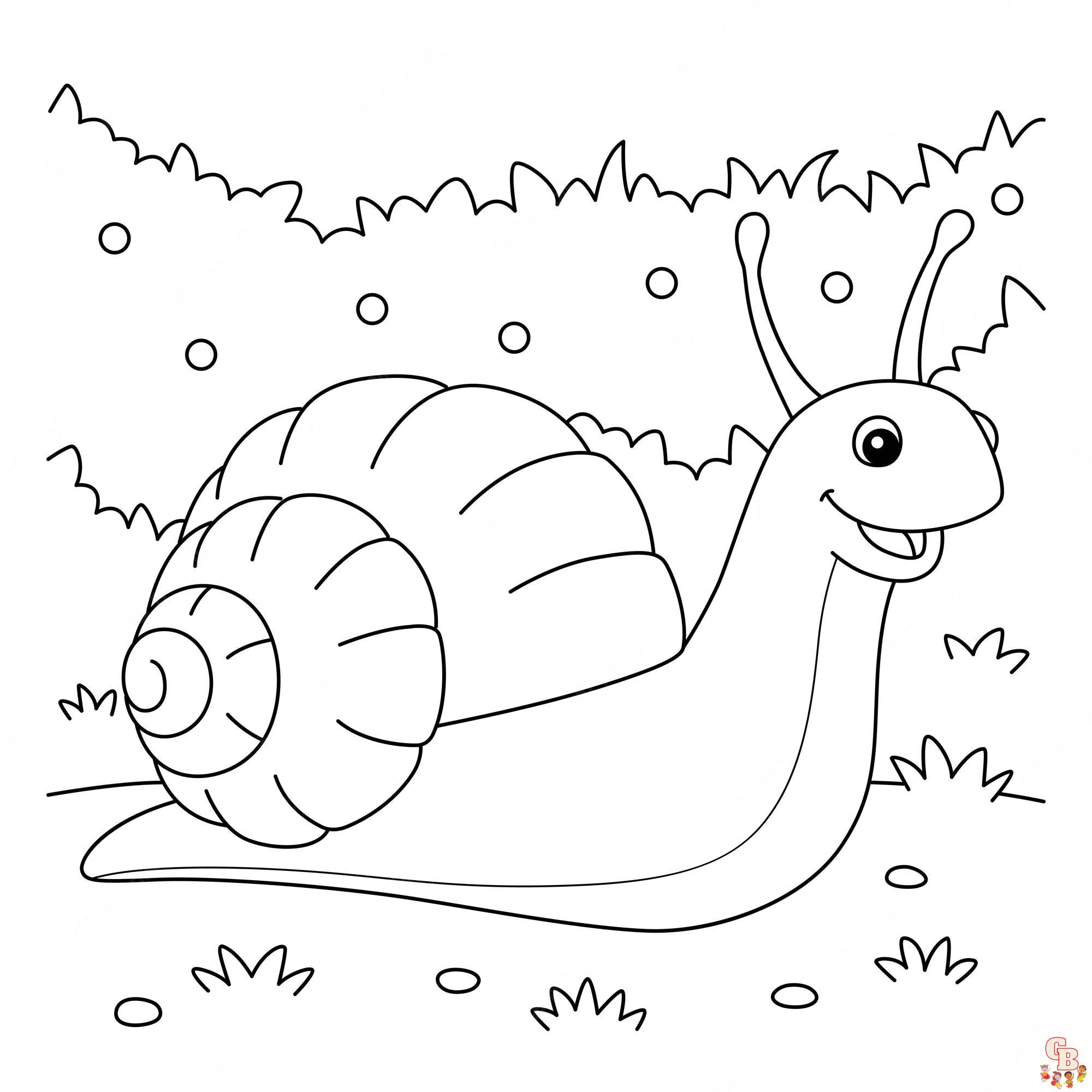 Snail Coloring Pages 5