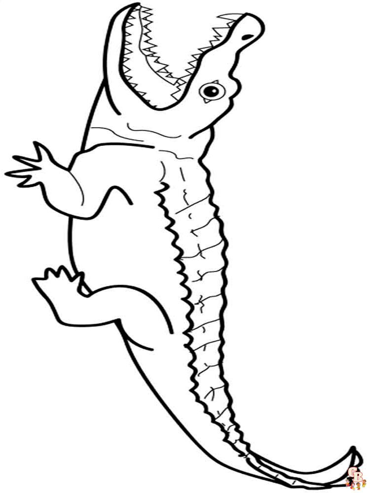 Wild Animal Coloring Pages 13