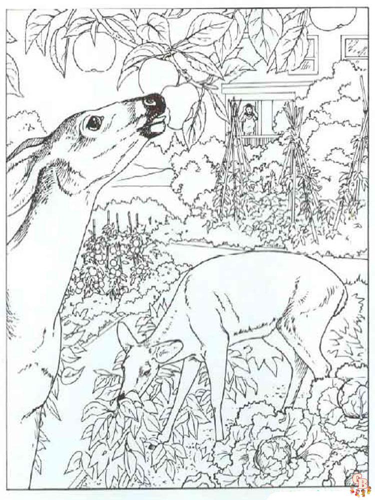 Wild Animal Coloring Pages 14