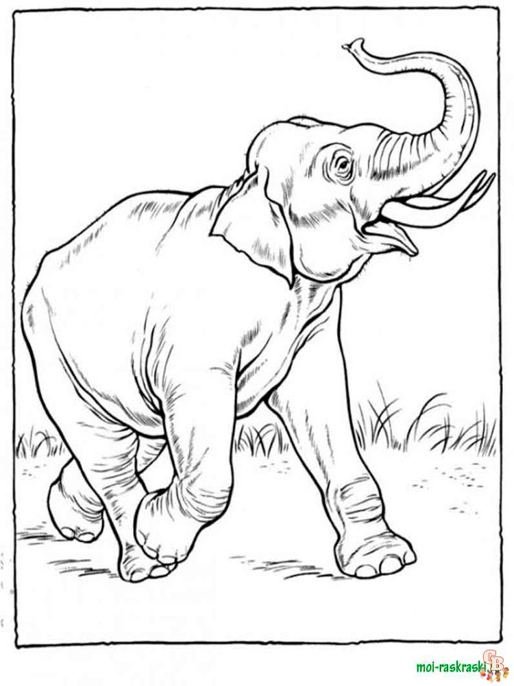 Wild Animal Coloring Pages 17