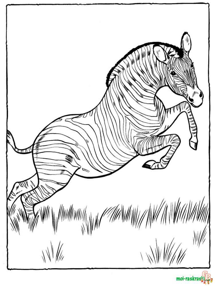 Wild Animal Coloring Pages 18