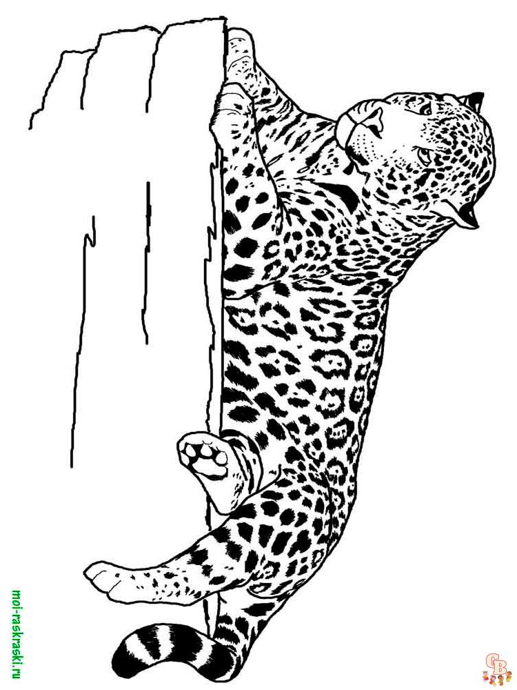 Wild Animal Coloring Pages 20