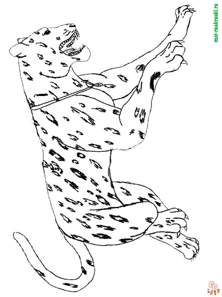 Wild Animal Coloring Pages 21