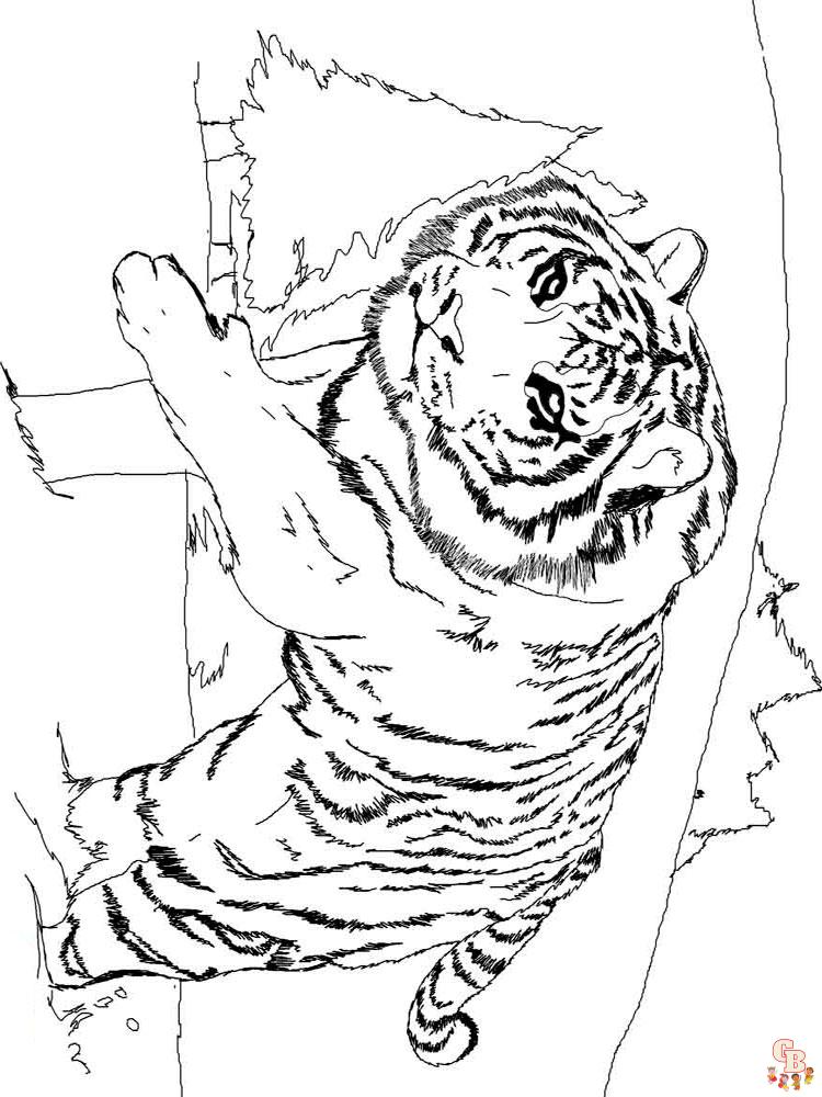 Wild Animal Coloring Pages 23