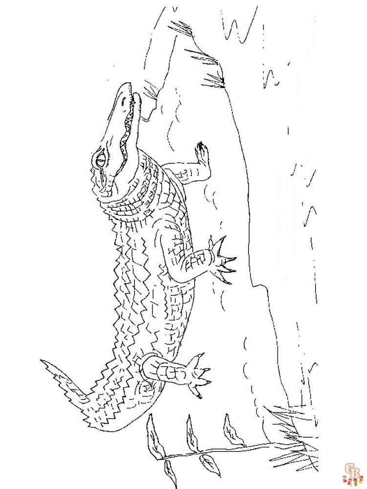 Wild Animal Coloring Pages 28