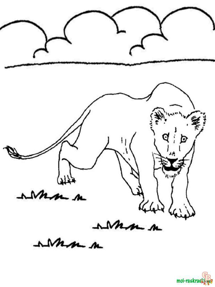 Wild Animal Coloring Pages 29