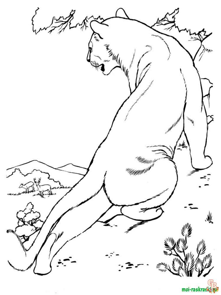 Wild Animal Coloring Pages 31