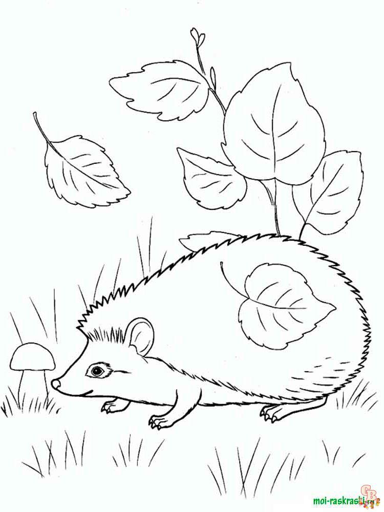 Wild Animal Coloring Pages 34