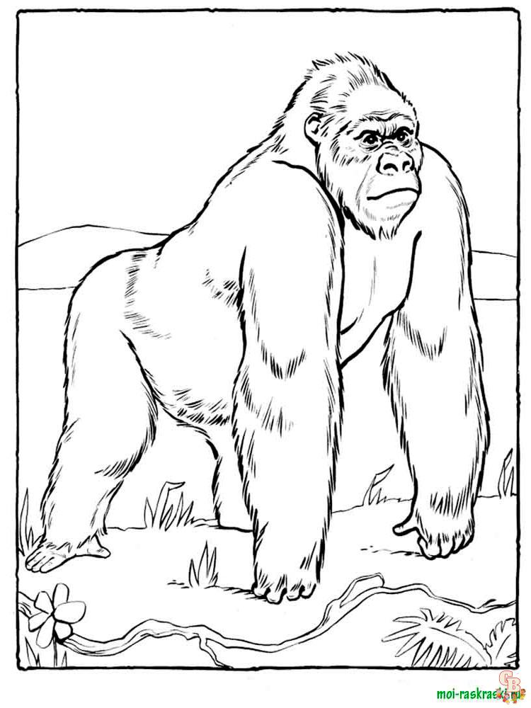 Wild Animal Coloring Pages 36