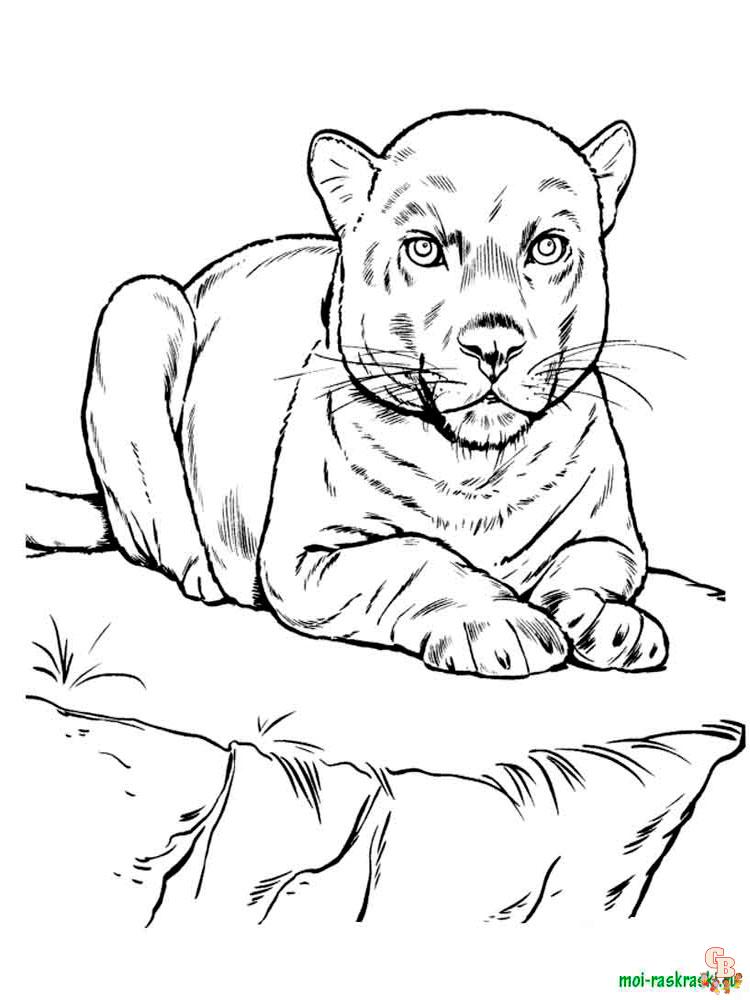 Wild Animal Coloring Pages 40