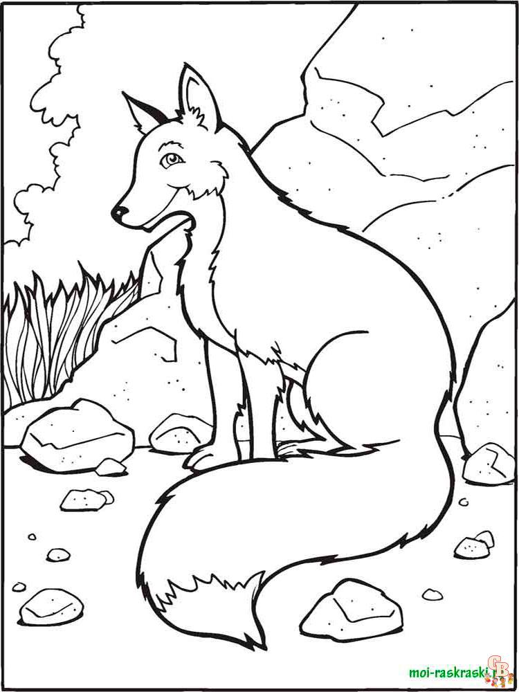 Wild Animal Coloring Pages 44