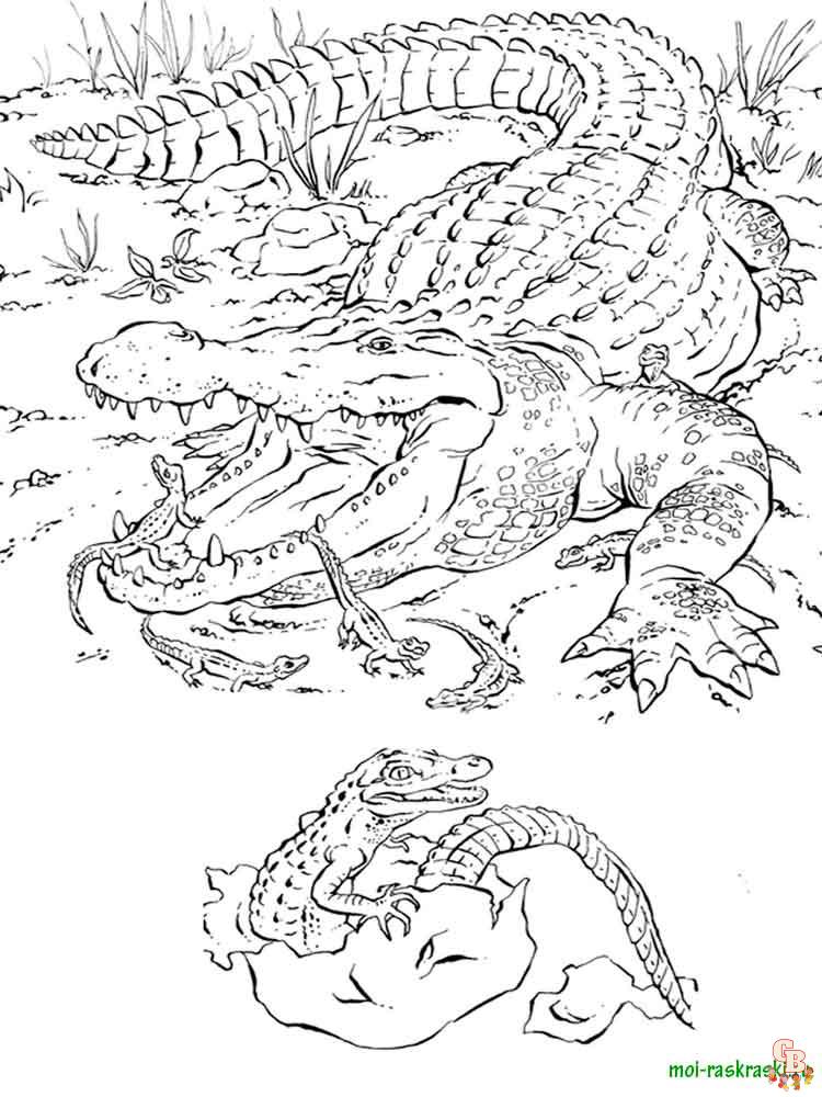 Wild Animal Coloring Pages 46