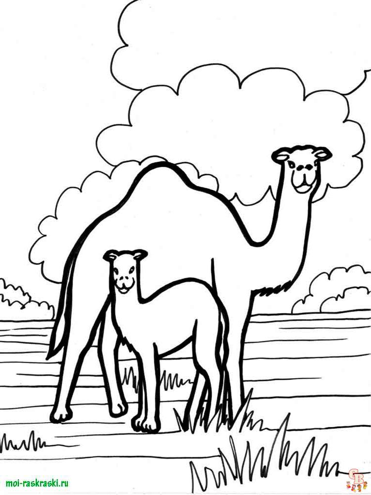 Wild Animal Coloring Pages 5