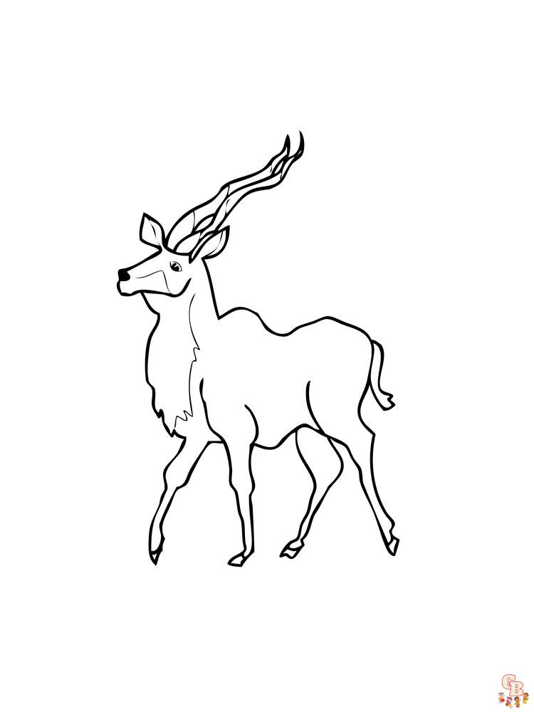 Wild Animal Coloring Pages 52