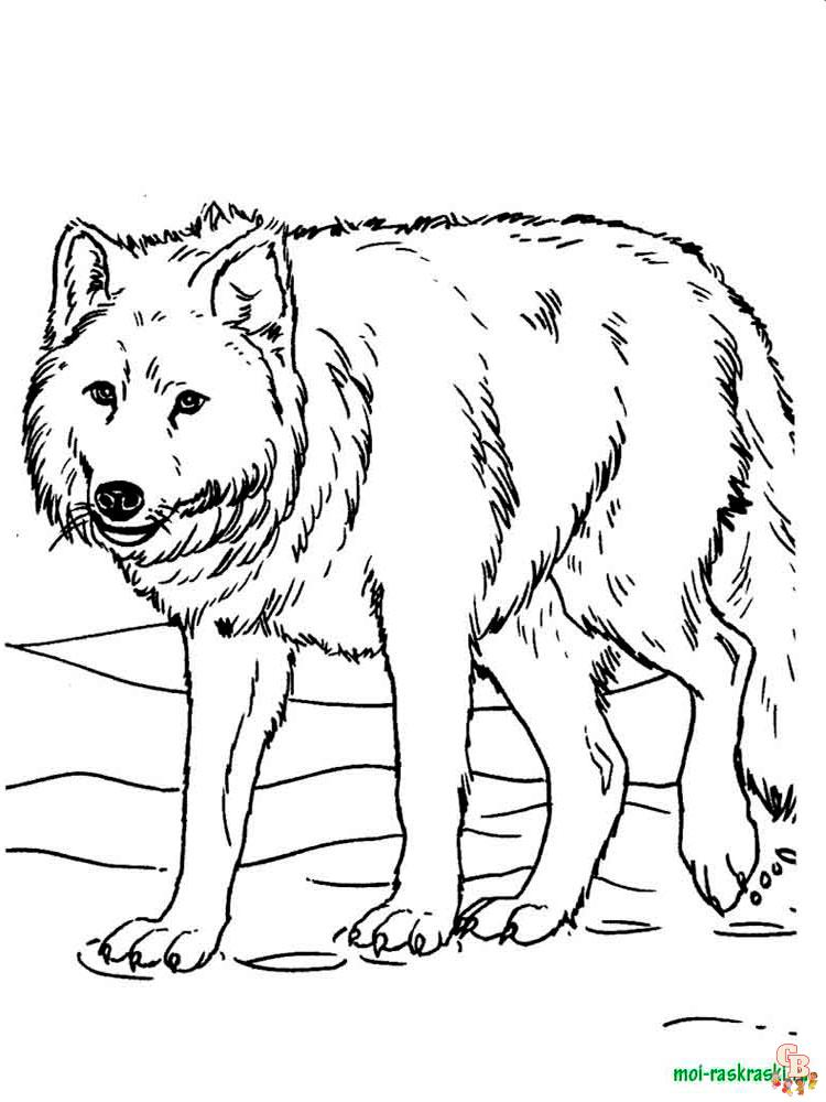 Wild Animal Coloring Pages 6