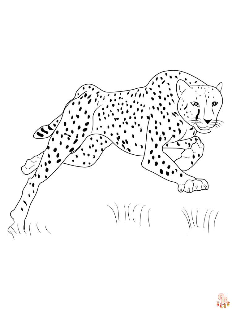 Wild Animal Coloring Pages 60