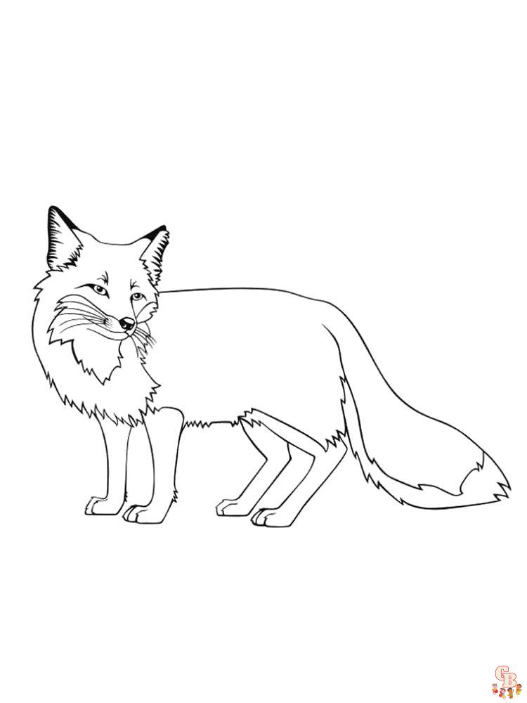 Wild Animal Coloring Pages 68