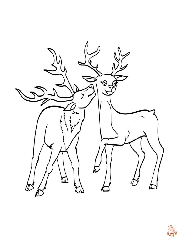 Wild Animal Coloring Pages 74