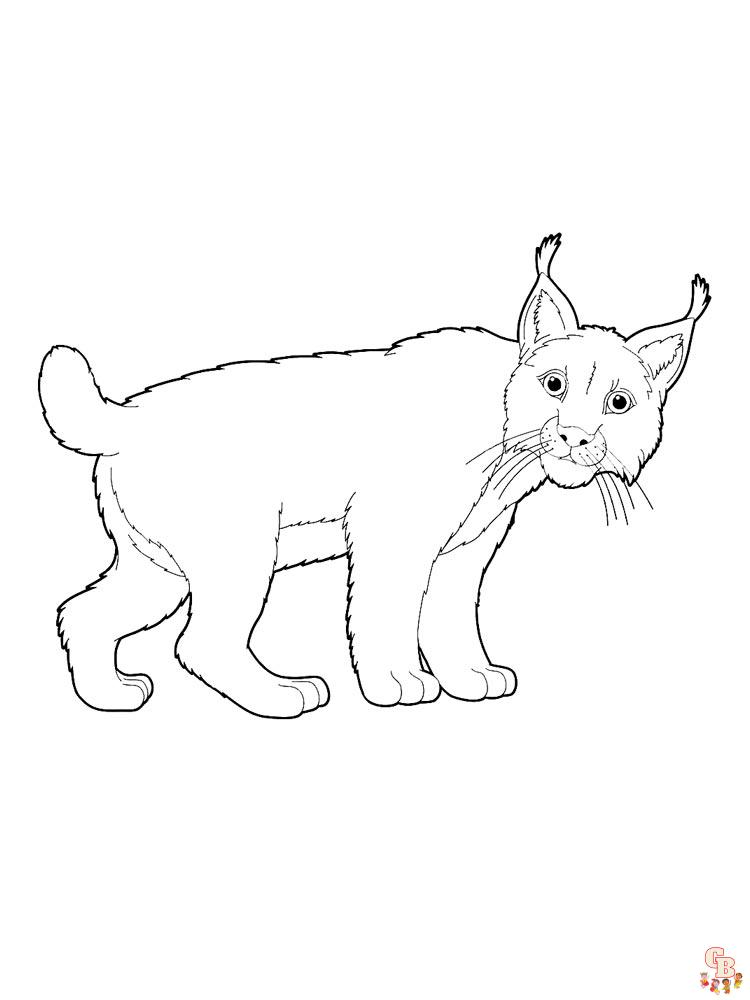 Wild Animal Coloring Pages 77