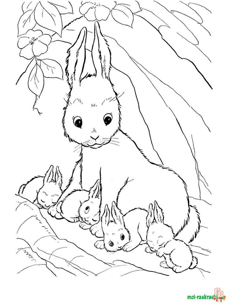 Wild Animal Coloring Pages 8