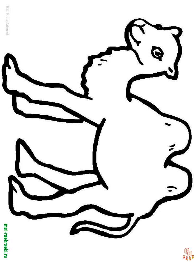 Wild Animal Coloring Pages 9