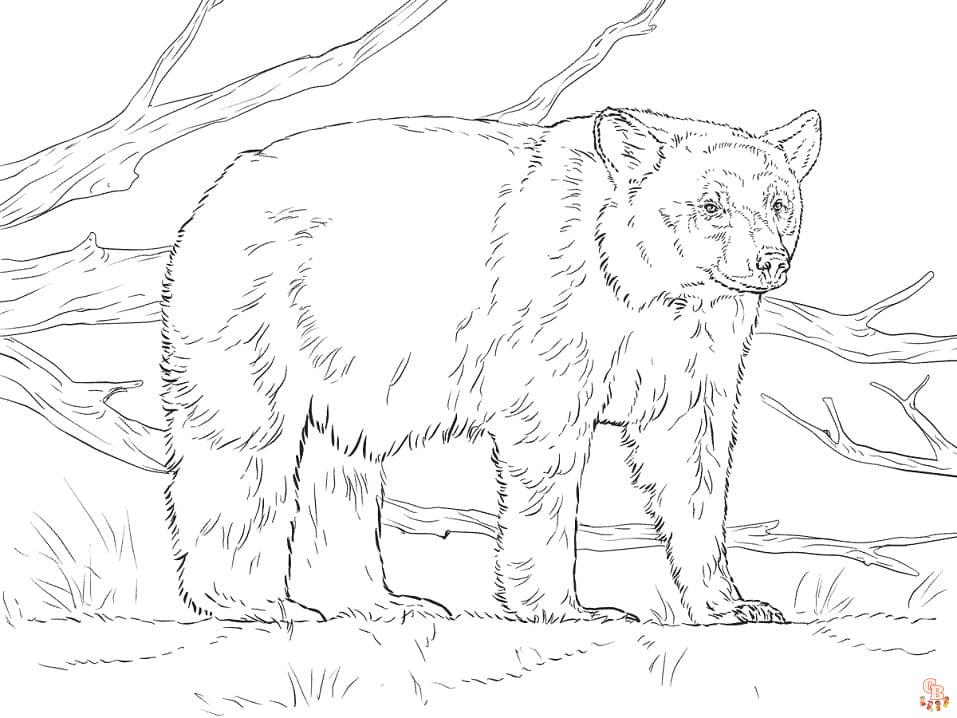 Alpine Bear Coloring Pages 2