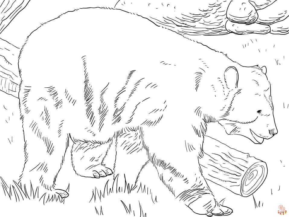 Alpine Bear Coloring Pages 3